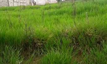 Imagem 3: Vende-se terreno em Ivinhema, Jardim aeroporto R$ 21.000