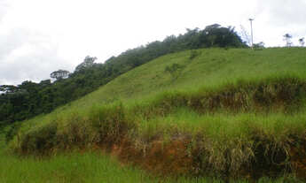 Imagem 4: Sítio em Conservatória 60.000 m²