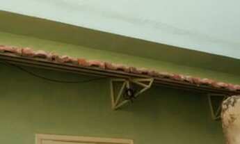 Imagem 7: Aluga-se casa! Casa com 2 dormitórios