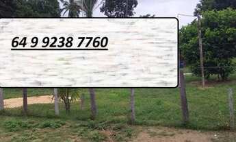 Imagem 3: 248 Alqs Pra Gado Boa Água Logística e Terra Entrada + Uma Centenário TO