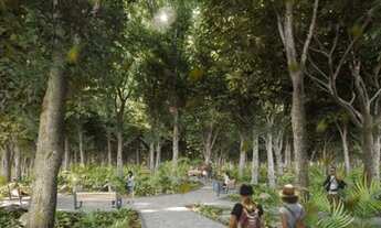 Imagem 6: Reserva Falavigna Quadra 175 Lote 20