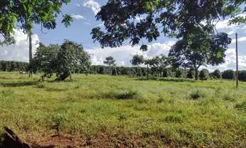 Imagem 7: OPORTUNIDADE - Sitio 2 alqueires sentindo Indianópolis