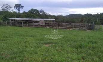 Imagem 2: Fazenda Região Serra São Vicente - MT