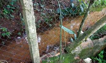 Imagem 10: Chácara em Nazaré Paulista com escritura para financiamento!!!