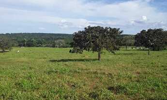 Imagem 2: FAZENDA À VENDA EM GOIANORTE - TO - 759,88 HECTARES (DUPLA APTIDÃO