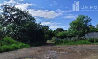 Imagem 2: Terreno - Amarais - Campinas