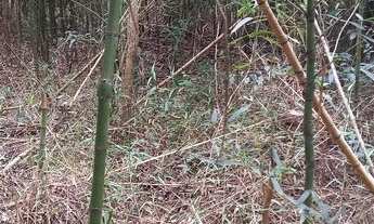 Imagem 2: Terrenos (4), 9.243 m², Condomínio p/ represa, topogr. mista, com rua, 6 km do centro Mair