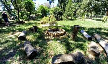 Imagem 7: Sítio com 3,8h, casa, galpão e açudes em Triunfo - Aceito casa em Canoas ou Montenegro