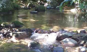 Imagem 2: LINDA CASA 5 SUÍTES VARGEM GRANDE VERDADEIRO PARAÍSO 1250 m TERRENO 456 de área construíd