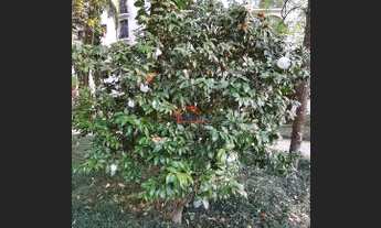 Imagem 5: APARTAMENTO RESIDENCIAL em SÃO PAULO - SP, GRANJA JULIETA