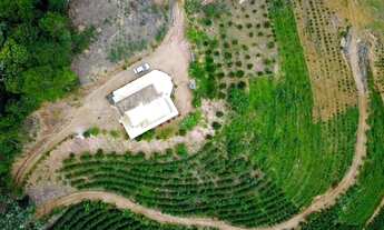 Imagem 6: SÍTIO COM 88.000 M² EM PARAJU, DOMINGOS MARTINS - ES