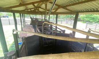 Imagem: Fazenda à venda, Zona rural, NOSSA SENHORA