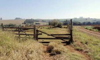 Imagem: Fazenda - 130.000 m² - Taquarituba - São