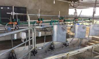 Imagem 5: Fazenda em Ibaiti PR - Campos Gerais