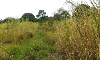 Imagem 6: COMERCIAL EXCELENTE LOCAL