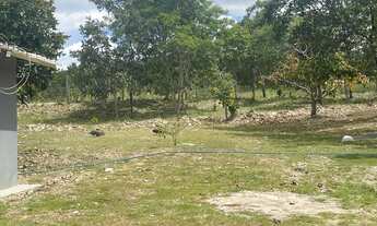 Imagem 4: Fazenda/Sítio/Chácara para venda tem 250 metros quadrados com 4 quartos