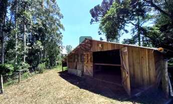 Imagem 4: Sítio com 3,8h, casa, galpão e açudes em Triunfo - Aceito casa em Canoas ou Montenegro