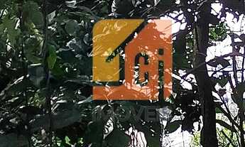 Imagem 7: Lote magnífico no Village II