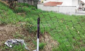 Imagem 5: Terreno - Jardim das Paineiras - Campinas