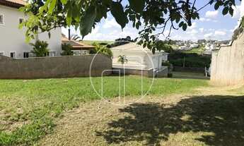 Imagem 6: Campinas - Loteamento/Condomínio - Alphaville