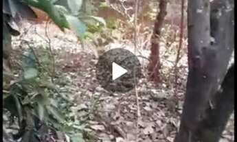 Imagem 2: Casa Casa com 3 dormitórios