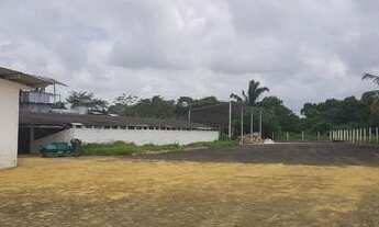 Imagem 3: Fazenda/Sítio/ para venda possui 22HA (220.000M2) metros quadrados em Mata Redonda - Alhan