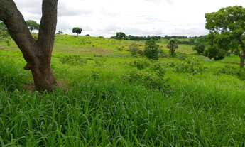 Imagem 6: Chacara em Mairipotaba com represa a 80 km de Goiânia chacaras 2 hectares aceito carro
