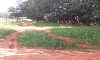 Imagem 6: CAIUA - Fazenda - ESTRADA DA ALEGRIA