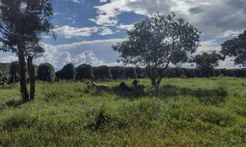 Imagem 5: OPORTUNIDADE - Sitio 2 alqueires sentindo Indianópolis