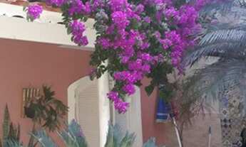 Imagem 5: EXCELENTE SOBRADO NO PARQUE ESPACIAL COM AMPLAS SUÍTES E ÁREA DE LAZER COMPLETA. INCLUINDO