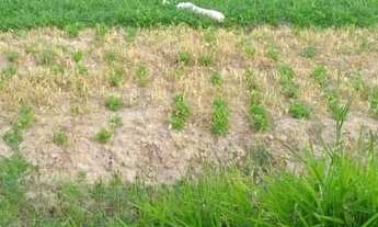 Imagem 4: Lote/Terreno para venda com 1000 metros quadrados em Centro - Mairiporã - SP