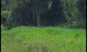 Imagem 7: Sítio 7 Alqueires Cultura em Água Limpa Goiás