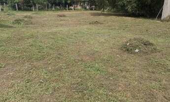 Imagem 5: Vendo Casa Recém Reformada , Pouco Tempo Habitada e numa região super Arborizada