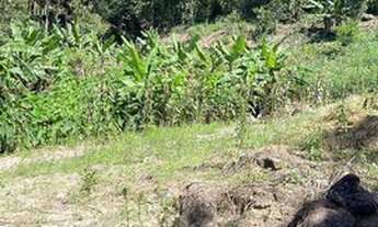 Imagem 3: Chácara por apenas R$300.000,00