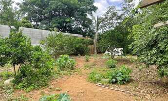 Imagem 2: Lote - Venda ou troca