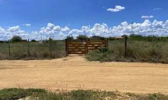 Imagem: SÍTIO NO SERROTE DA BATATATEIRA