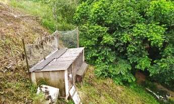 Imagem 6: Chácara Santo Amaro da Imperatriz 2 km do Centro