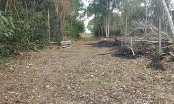 Imagem 2: Terreno Plano para Sítio no Km 26 da AM 070 (Manoel Urbano) Possui 1200m²