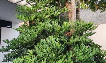 Imagem 2: Apartamento para aluguel possui 350 metros quadrados com 3 quartos