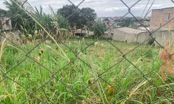 Imagem 2: 8 Lotes de 137m cada no São Gonçalo 2