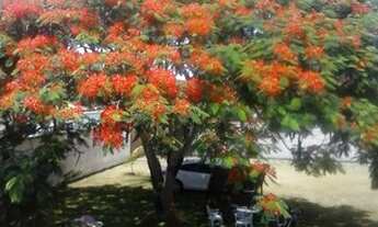 Imagem 6: Casa duplex para alugar em Nova Almeida