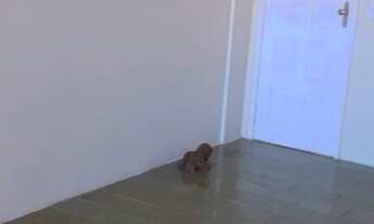 Imagem 3: Apartamento para aluguel possui 70 metros quadrados com 2 quartos em Centro - Fortaleza