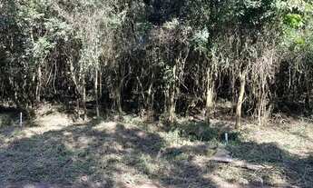 Imagem 6: Sítio Com Entrada De 4.900 E Parcelas De 650. ROB:93