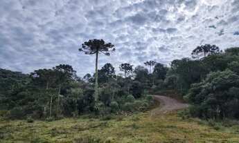 Imagem 6: Chácara com 2 hectares em Urupema