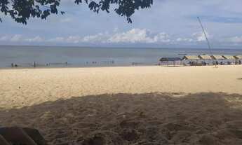 Imagem: Vendo terreno no Pindobal