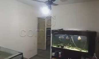 Imagem 6: Casa Padrão em São José do Rio Preto