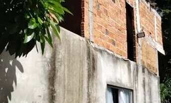 Imagem 4: Vendo mini sítio na paralela