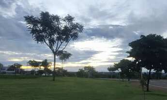 Imagem 2: Jardins de Monet. Aceita veículo