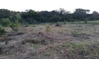 Imagem 5: Vendo terreno no Apolônio Sales mede 12por 35