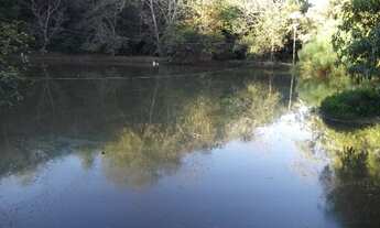 Imagem 6: Fazendinha 16ha, 2criatorios de peixes, casa, área de lazer, Baldim Temos varias opções)